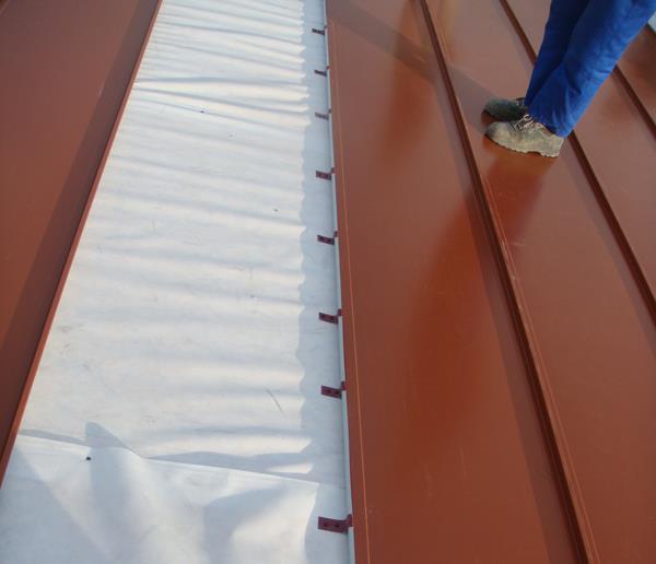 Roof and Insulation Systems