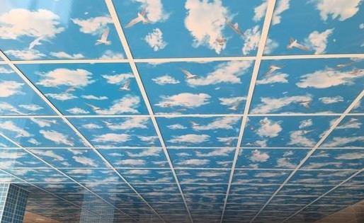 Plastic Pvc Suspended Ceiling Systems